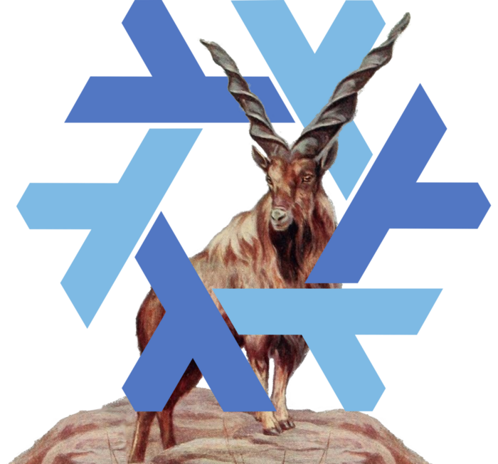 NixOS 20.03 logo